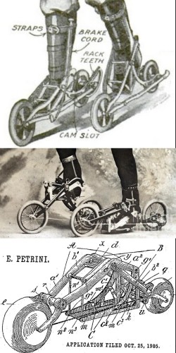 1905_EDVARD PETRINI_tachypode.jpg